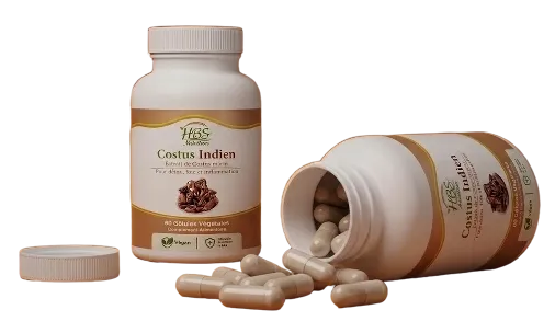 Costus Indien - Vue secondaire